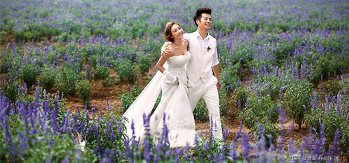 上海婚紗攝影哪里好 上海婚紗攝影外景有哪些