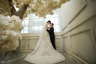 上海上海蔚藍(lán)海岸婚紗攝影點(diǎn)評(píng)