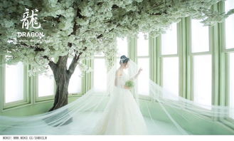 高端婚紗攝影基地 mv視頻拍攝 商業(yè)拍攝 大型視頻拍攝 上海夢(mèng)想影視基地 淘寶模特