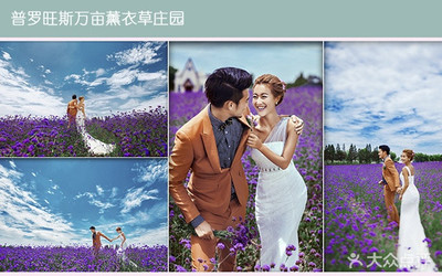 【唯麗國際婚紗攝影團購】-大眾點評網團購上海站