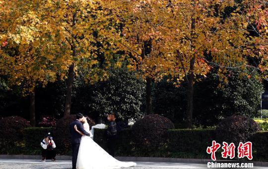 婚紗攝影 成為上海外灘一道亮麗風景