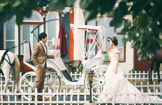 1 上海友誼婚紗攝影相冊 wed114結(jié)婚網(wǎng)