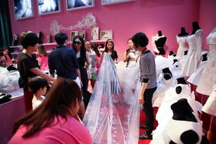 第27屆上海國際婚紗攝影器材展覽會歡迎大家光臨