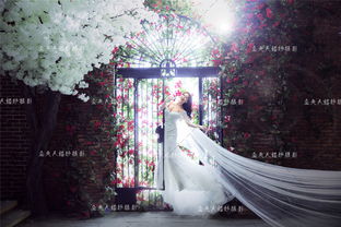 公主嫁紗 鹽城金夫人婚紗攝影精品折扣 wed114結婚網