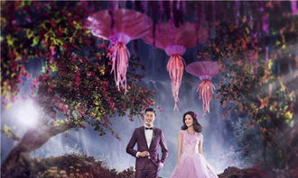 維也納國際婚紗攝影上海水下婚紗照