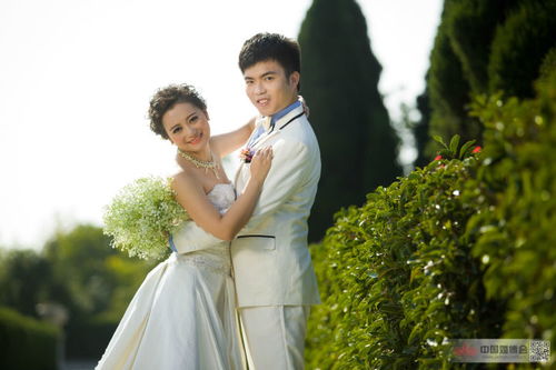 上海蔚藍海岸婚紗攝影體驗 真實點評與用戶反饋